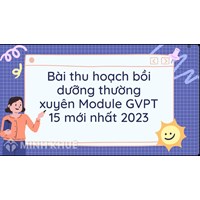 Bài thu hoạch bồi dưỡng thường xuyên Module GVPT 15 mới nhất