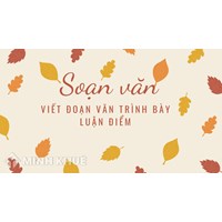 Soạn bài Viết đoạn văn trình bày luận điểm ngắn gọn, đầy đủ