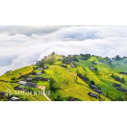 Vùng Tây Bắc Việt Nam gồm những tỉnh nào?