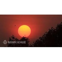 Phân tích vẻ đẹp cổ điển và hiện đại trong bài thơ Chiều tối hay nhất