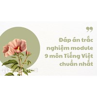 Đáp án trắc nghiệm module 9 môn Tiếng Việt chuẩn nhất