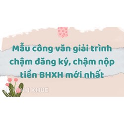 Mẫu công văn giải trình chậm đăng ký, chậm nộp tiền BHXH mới nhất