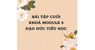 Bài tập cuối khóa module 8 Đạo đức Tiểu học chi tiết nhất