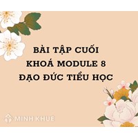 Bài tập cuối khóa module 8 Đạo đức Tiểu học chi tiết nhất