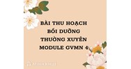 Bài thu hoạch bồi dưỡng thường xuyên module GVMN 4 mới nhất
