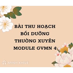 Bài thu hoạch bồi dưỡng thường xuyên module GVMN 4 mới nhất