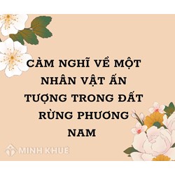 Cảm nghĩ về một nhân vật ấn tượng trong Đất rừng phương Nam hay nhất