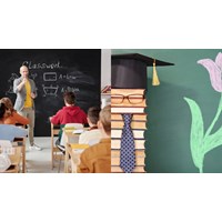 Bài dự thi Tấm gương nhà giáo Việt Nam hay nhất