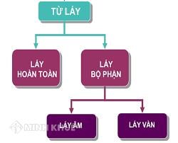 Các đặc điểm của từ láy bộ phận là gì trong câu và đoạn văn