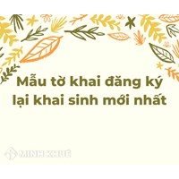 Mẫu tờ khai đăng ký lại khai sinh theo quy định mới nhất