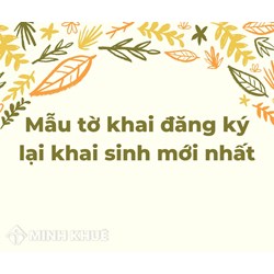Mẫu tờ khai đăng ký lại khai sinh theo quy định mới nhất