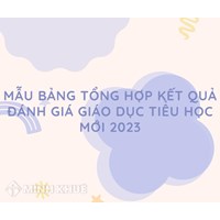 Mẫu bảng tổng hợp kết quả đánh giá giáo dục tiểu học mới