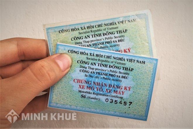 Cà vẹt xe là gì? Các cách nhận biết cà vẹt xe thật và giả