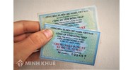 Cà vẹt xe là gì? Các cách nhận biết cà vẹt xe thật và giả