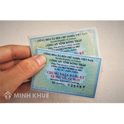 Cà vẹt xe là gì? Các cách nhận biết cà vẹt xe thật và giả