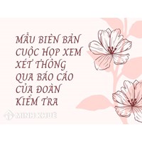 Mẫu biên bản cuộc họp xem xét thông qua báo cáo của đoàn kiểm tra