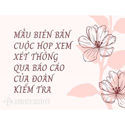 Mẫu biên bản cuộc họp xem xét thông qua báo cáo của đoàn kiểm tra
