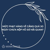 Mức phạt hàng về cảng quá 30 ngày chưa nộp hồ sơ hải quan?