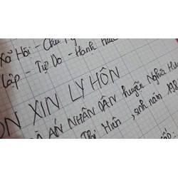 Mẫu đơn ly hôn với người nước ngoài mới nhất và cách viết