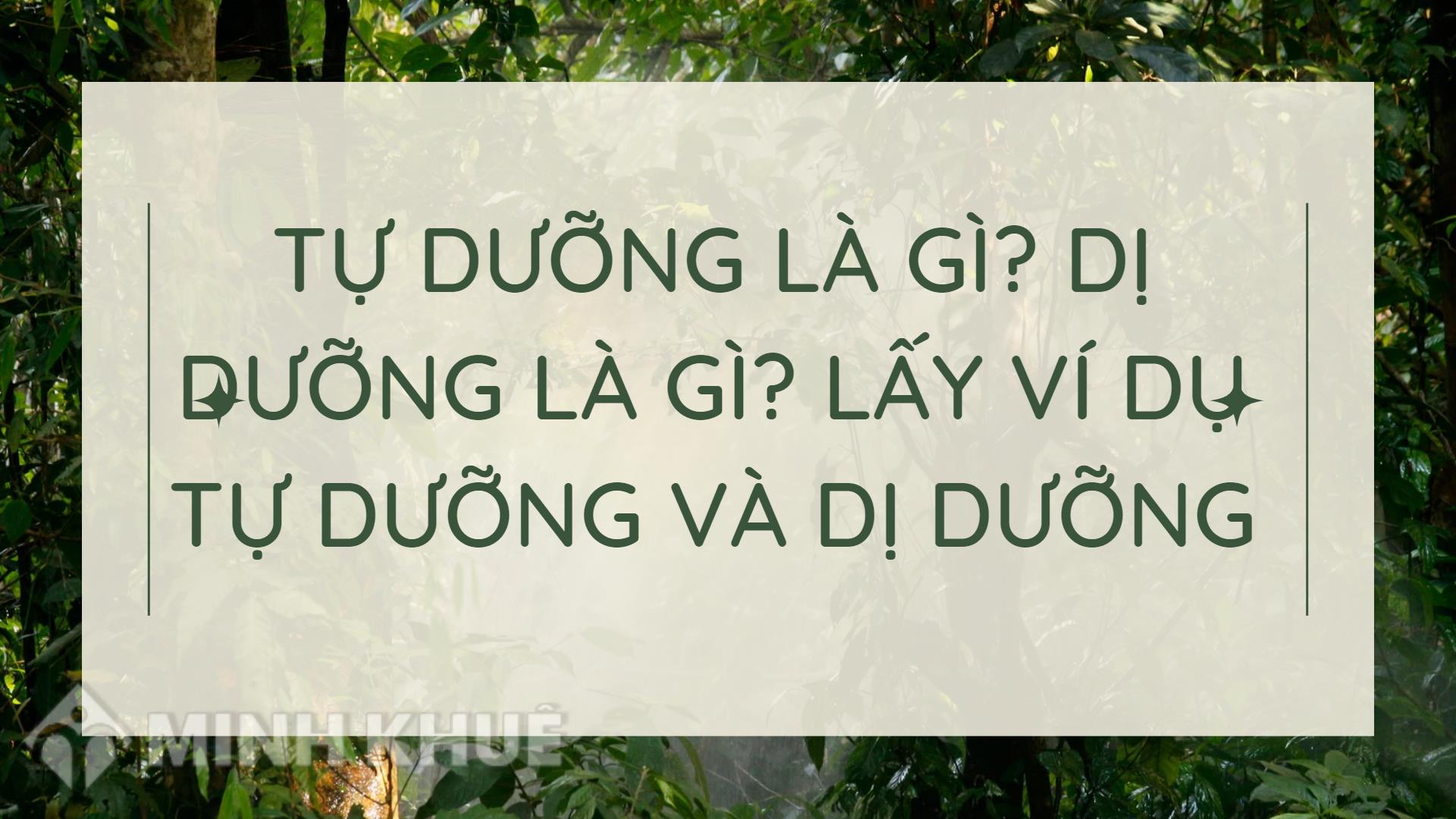 Tự dưỡng là gì? Dị dưỡng là gì? Lấy ví dụ tự dưỡng và dị dưỡng