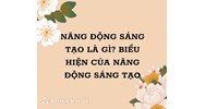 Năng động sáng tạo là gì? Biểu hiện của Năng động sáng tạo là gì?