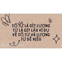Số từ là gì? Lượng từ là gì? Lấy ví dụ về số từ và lượng từ dễ hiểu