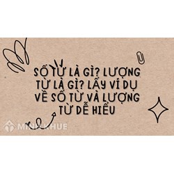 Số từ là gì? Lượng từ là gì? Lấy ví dụ về số từ và lượng từ dễ hiểu