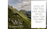 Ví dụ về tập tính học được và so sánh tập tính bẩm sinh?