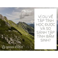 Ví dụ về tập tính học được và so sánh tập tính bẩm sinh?