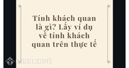Tính khách quan là gì? Lấy ví dụ về tính khách quan trên thực tế