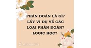 Phán đoán là gì? Lấy ví dụ về các loại phán đoán? Logic học