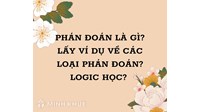 Phán đoán là gì? Lấy ví dụ về các loại phán đoán? Logic học