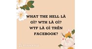 What the hell là gì? WTH là gì? WTF là gì trên Facebook?