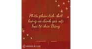 Phiếu phân tích chất lượng và đánh giá xếp loại tổ chức Đảng mới nhất