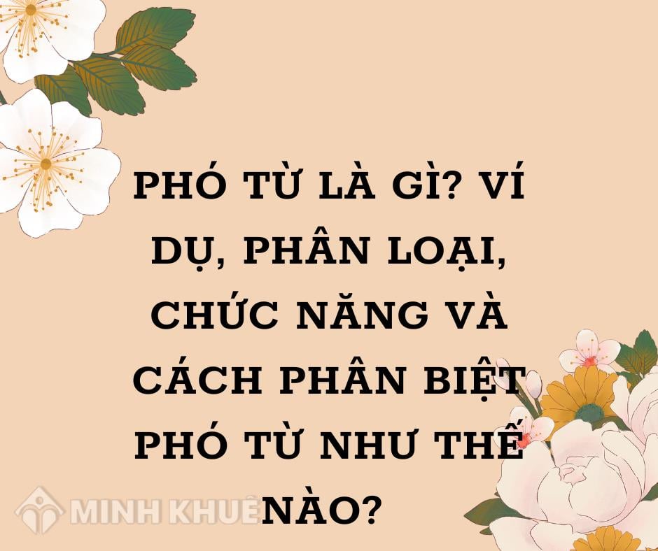 Ví Dụ Phó Từ: Hướng Dẫn Chi Tiết Và Bài Tập Thực Hành