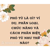 Phó từ là gì? Ví dụ, phân loại, chức năng và cách phân biệt phó từ