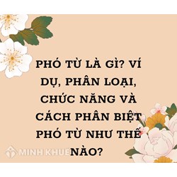 Phó từ là gì? Ví dụ, phân loại, chức năng và cách phân biệt phó từ
