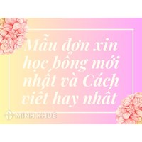 Mẫu đơn xin học bổng mới nhất 2024 và Cách viết hay nhất