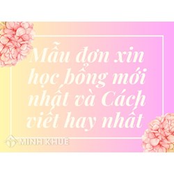 Mẫu đơn xin học bổng mới nhất 2024 và Cách viết hay nhất