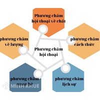 Các phương châm hội thoại gồm mấy loại? Bài tập và ví dụ