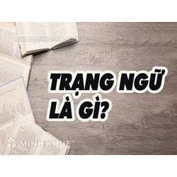Trạng ngữ chỉ cách thức là gì? Ví dụ và đặt câu với trạng ngữ chỉ cách thức
