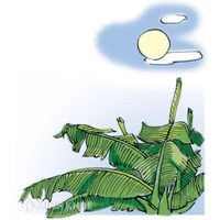 Soạn bài Trăng ơi... từ đâu đến ngắn gọn, đầy đủ nhất