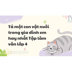 Tả một con vật nuôi trong gia đình em hay nhất Tập làm văn lớp 4