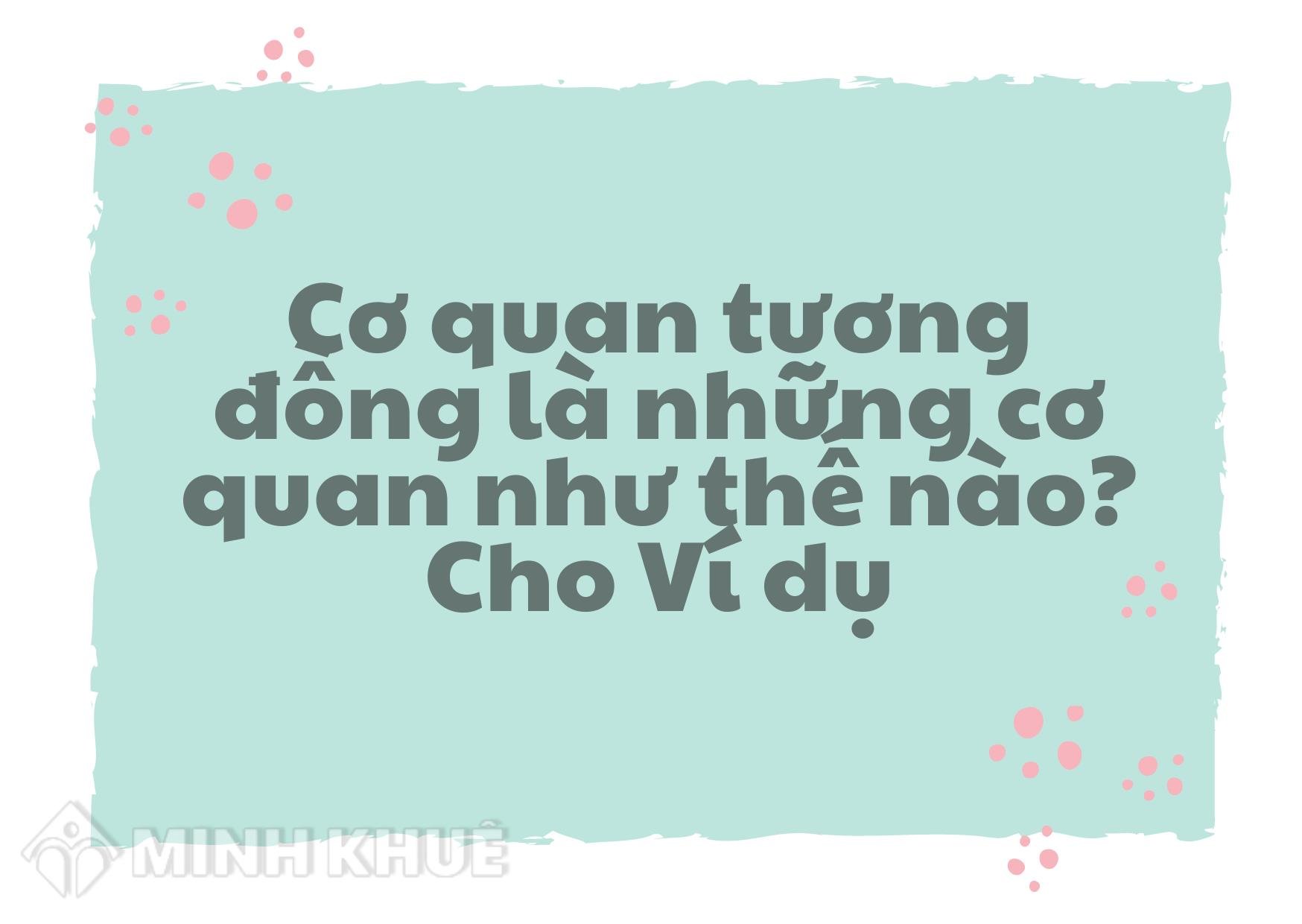 Khái Niệm Cơ Quan Tương Đồng: Đặc Điểm Và Ý Nghĩa Tiến Hóa