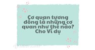 Cơ quan tương đồng là những cơ quan như thế nào? Cho Ví dụ