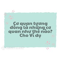 Cơ quan tương đồng là những cơ quan như thế nào? Cho Ví dụ
