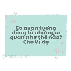 Cơ quan tương đồng là những cơ quan như thế nào? Cho Ví dụ