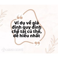 Ví dụ về giả định quy định chế tài cụ thể, dễ hiểu nhất