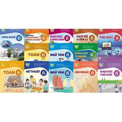 Bộ đề thi giữa học kì 2 lớp 6 có đáp án mới nhất (Sách mới)