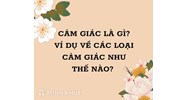 Cảm giác là gì? Lấy ví dụ về các loại cảm giác?
